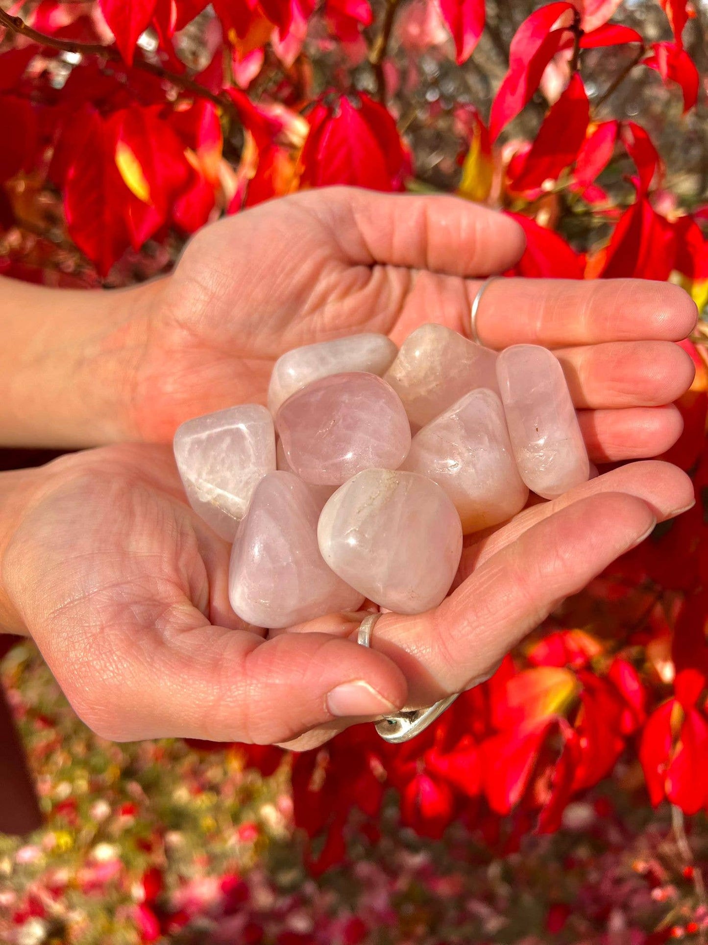 Rose Quartz Tumbled