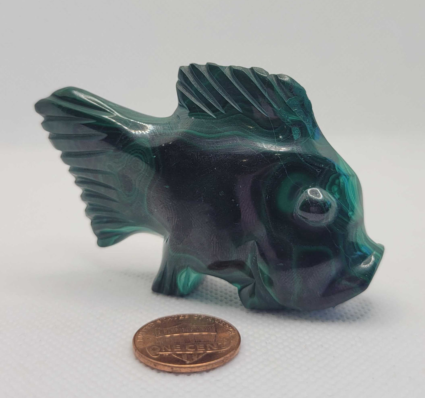 Malachite Fish 45