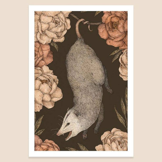 8” x 12” The Possum and Peonies Print