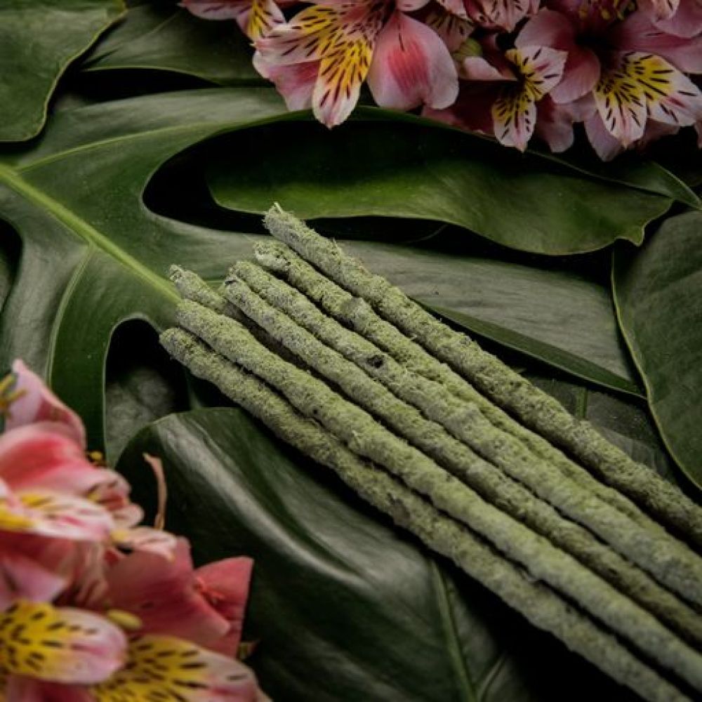 Botanical Line Incense - Green Tea & Champa