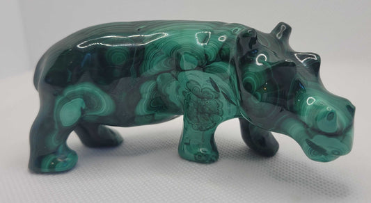 Malachite Hippo B